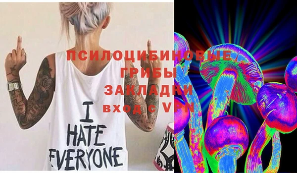спайс Арсеньев